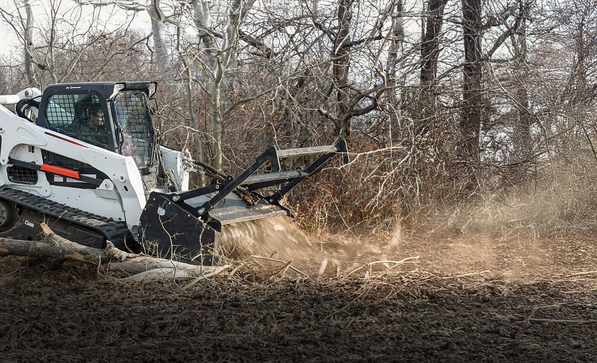 BrushLine Co. forestry mulcher clearing dense brush